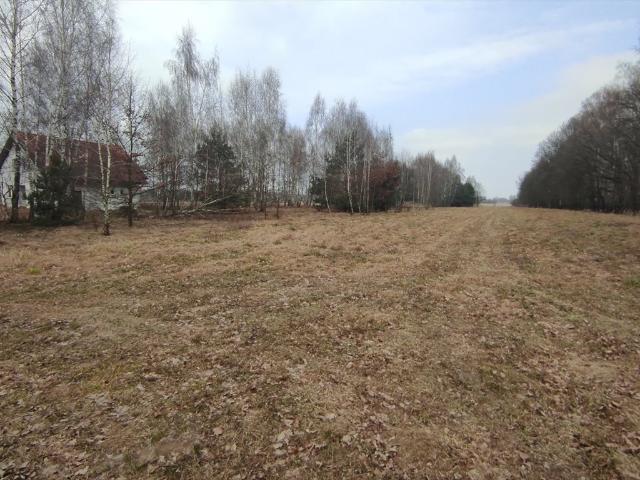 Działka rolna 3,02 ha z mediami, blisko Kampinosu