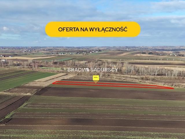 Działka rolna 3,8 ha w Krakowie, idealna pod uprawy