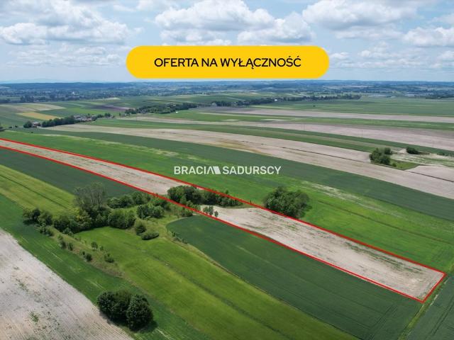 Działka rolna 3 ha z dostępem do drogi w Prandocin Iły