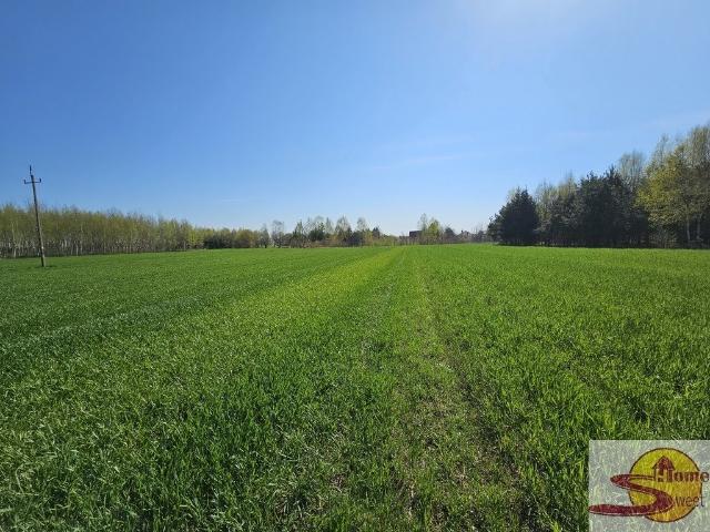 Działka rolna 4500 m² z dostępem i III klasą ziemi