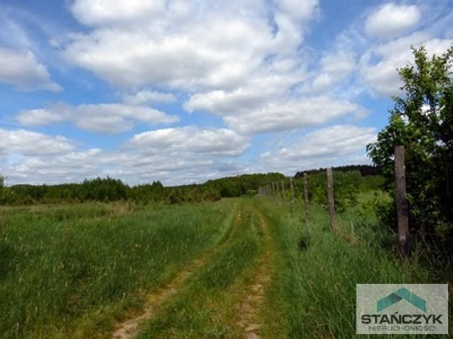 Działka rolna 4500 m² z prądem, atrakcyjna cena