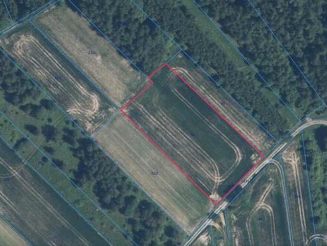Działka rolna 46 a Biały Kościół Ojcowski Park Narodowy