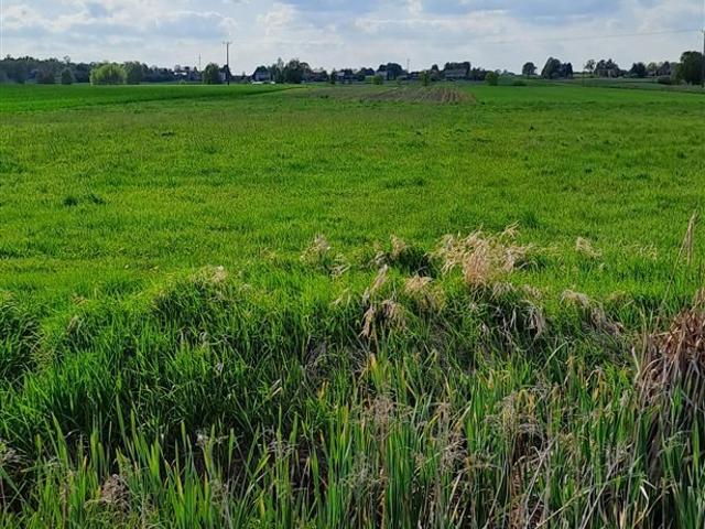 Działka rolna 4736 m² z potencjałem w Opatowie