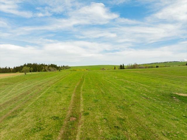 Działka rolna 4357 m² przy drodze w Szaflarach