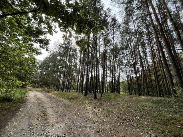 Działka rolna 5500 m² z lasem Pustelnik potencjał rekreacyjny