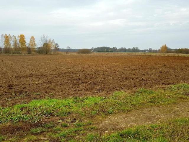Działka rolna 55 ar w Samoklęskach – do negocjacji