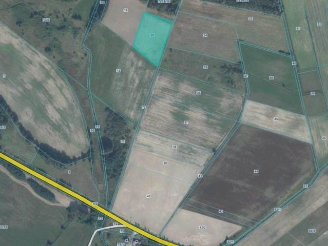 Działka rolna 5800 m² w Siedlisku – atrakcyjna cena!