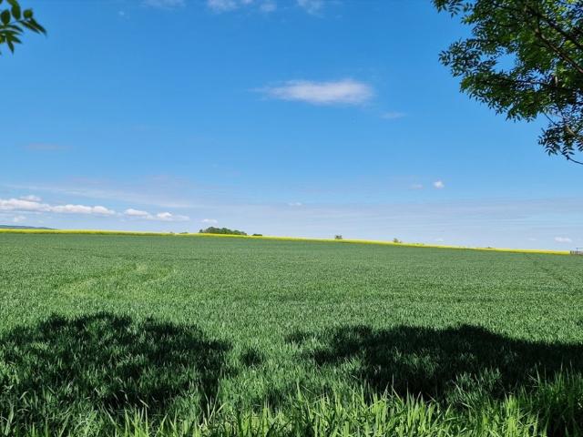 Działka rolna 5000 m² z dostępem do mediów, inwestycyjna