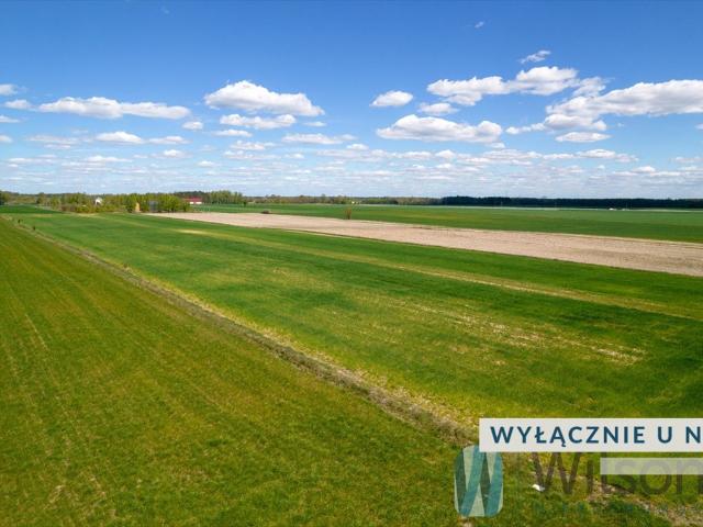 Działka rolna 5 433 m² w Tomaszówce inwestycja i spokój