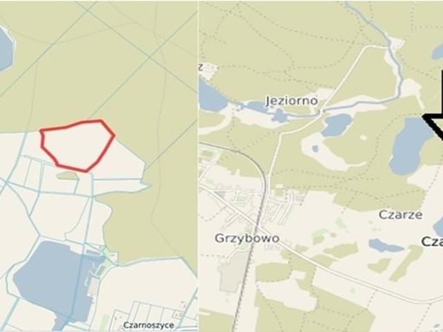 Działka rolna 5,88 ha z potencjałem, przetarg 18.06