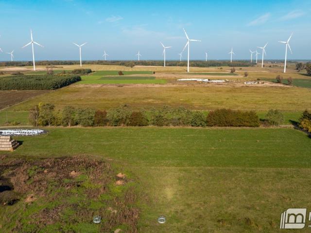 Działka rolna 6500 m² z możliwością zabudowy w Sarbii