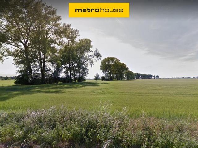 Działka rolna 6,5 ha w Brodowie pod Poznaniem