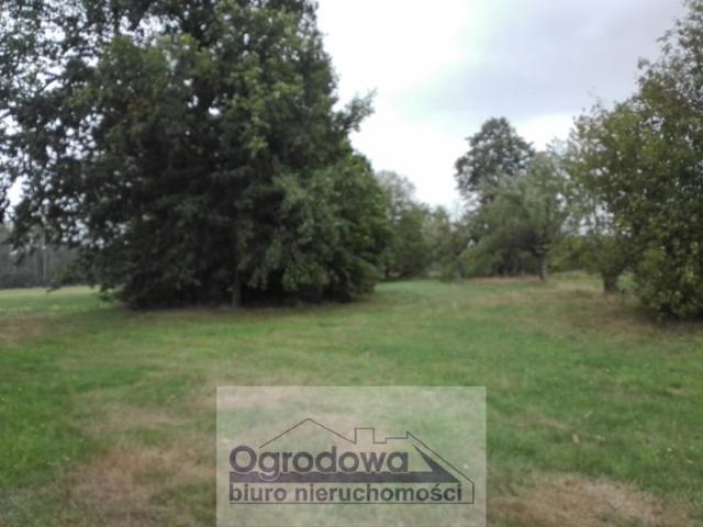 Działka rolna 7 860 m² z warunkami zabudowy polecam!