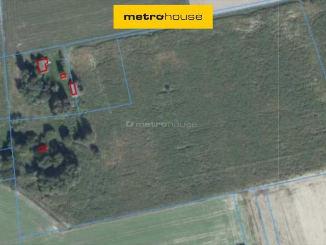 Działka rolna 80 942 m² z możliwością dokupienia siedliska