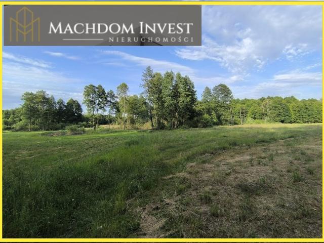 Działka rolna 8 000 m² w cichej okolicy, Rojewo