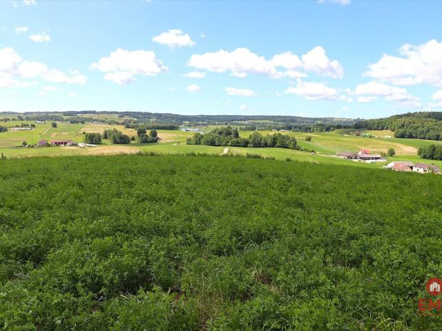 Działka rolno budowlana 4800 m² z warunkami zabudowy