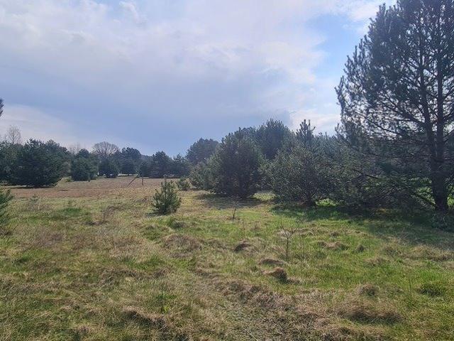 Działka rolno budowlana 5168 m² z szerokością 33,5 m