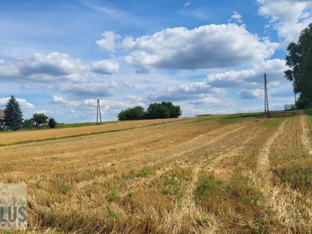 Działka rolno budowlana 1600 m2 w Czuszowie, spokojna okolica