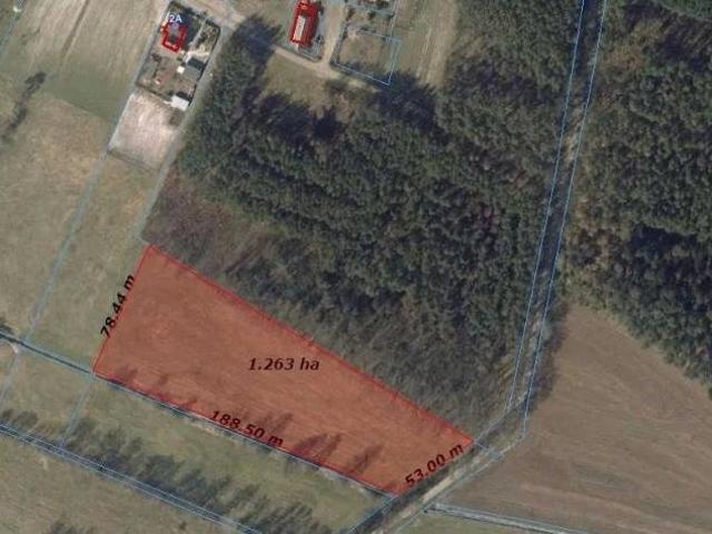 Działka rolno budowlana 1,25 ha z dostępem do mediów
