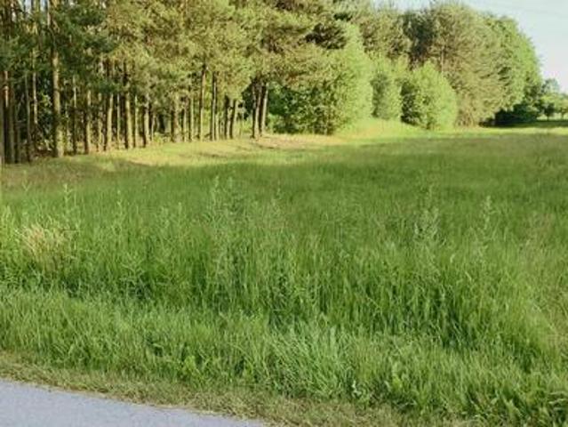 Działka Rolno Siedliskowa