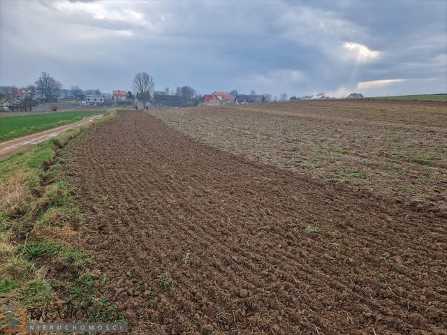 Działka rolno zagrodowa 11 070 m² z dojazdem asfaltowym