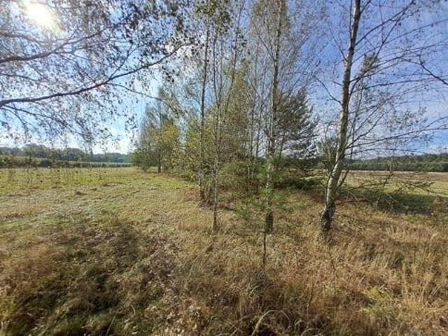 Działka, Stanisławów, 11100.00 m², sprzedam działkę