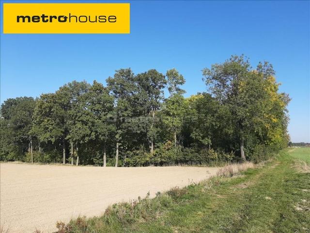 Działka, Stróża, 12400.00 m², sprzedam działkę