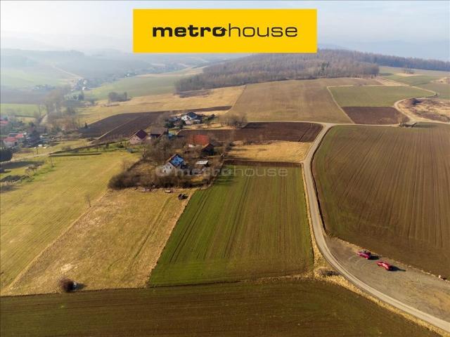Działka, Suszyna, 6569.00 m², sprzedam działkę