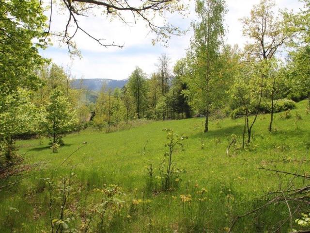 Działka, Szklarska Poręba, 2719.00 m², sprzedam działkę