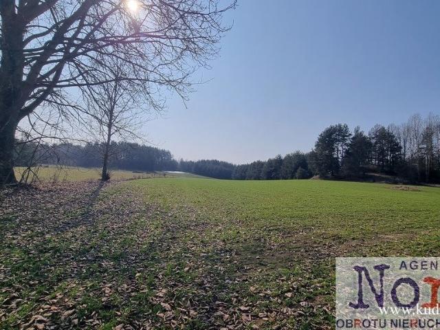 Działka siedliskowa 10580 m2 z zabudową i mediami
