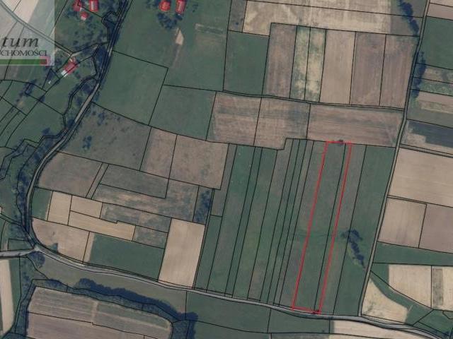 Działka siedliskowa 1,14 ha z mediami, prostokąt, asfalt
