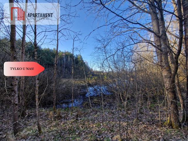 Działka siedliskowa 20 000 m² z lasem i blisko jeziora