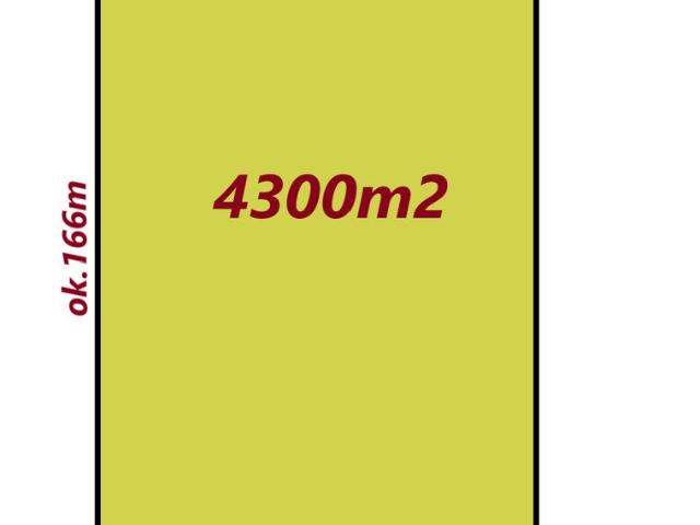 Działka siedliskowa 4300 m² z budynkami i potencjałem