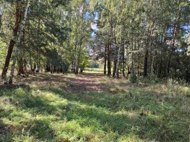 Działka, Sokóle, 8418.00 m², sprzedam działkę