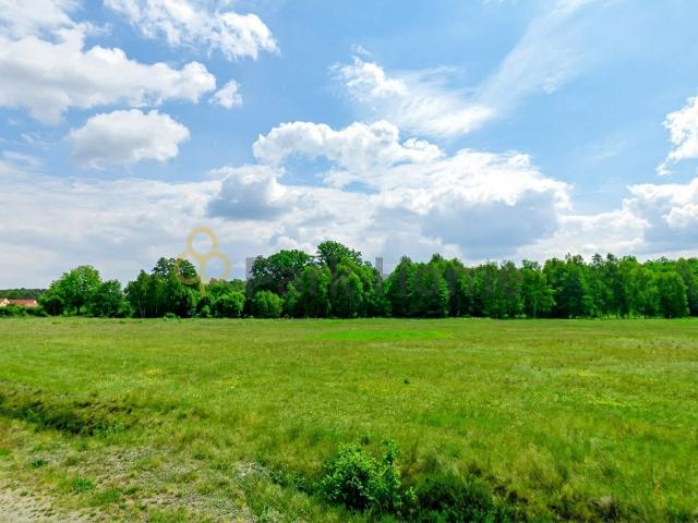 Działka sprzedam, Mieszków, 10900 m2, cena: 545 000 zł