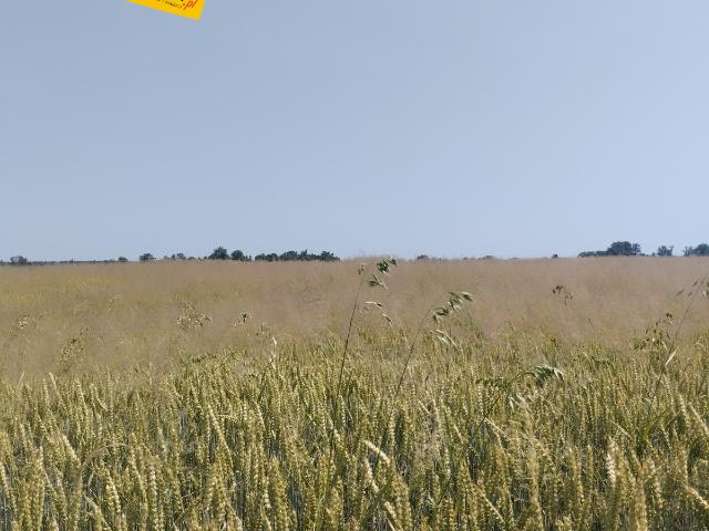 Działka sprzedam, Mogilany, 6459 m2, cena: 2 210 000 zł
