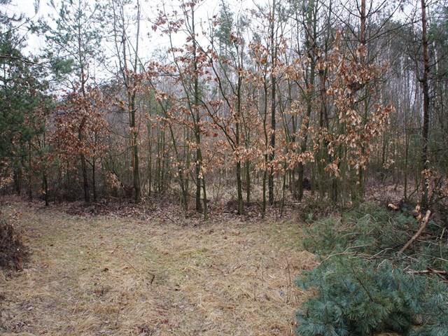 Działka sprzedam, Mszczonów, 58300 m2, cena: 900 000 zł