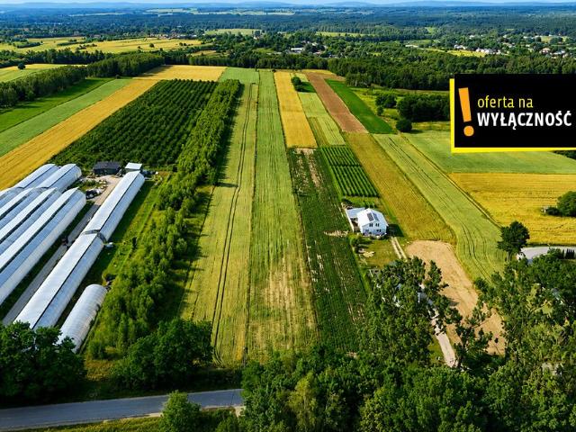 Działka sprzedam, Niemścice, 13900 m2, cena: 99 000 zł