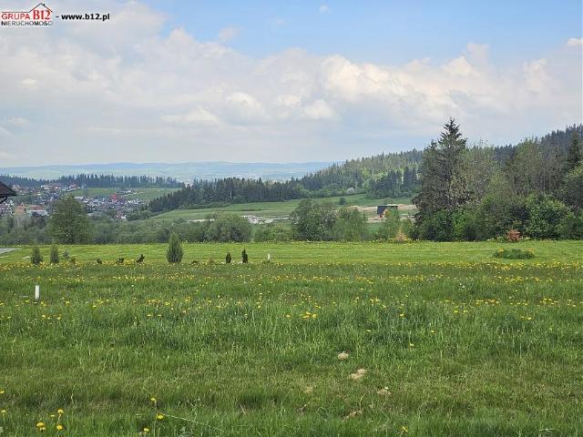 Działka sprzedam, Nowotarski, Bańska Nizna, 800 m2, cena: 359 000 zł