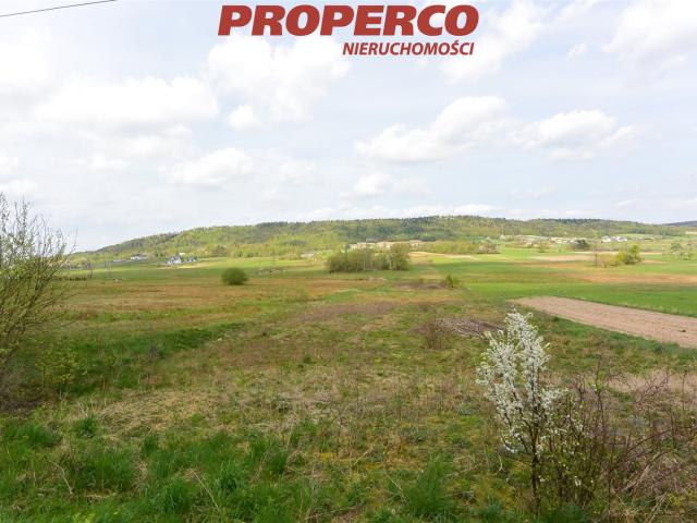 Działka sprzedam, Nowa Huta, Raków, 16600 m2, cena: 145 000 zł