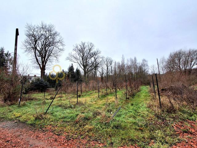 Działka sprzedam, Nowa Jabłona, 4904 m2, cena: 280 000 zł