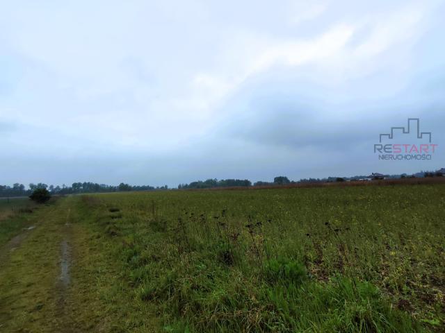Działka sprzedam, Nowe Faszczyce, 6600 m2, cena: 890 000 zł
