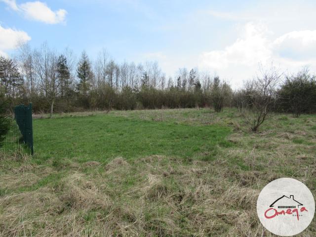 Działka sprzedam, Ogrodzieniec, 2340 m2, cena: 250 000 zł