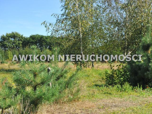 Działka sprzedam, Ojrzanów, Ojrzanów, 2274 m2, cena: 500 280 zł