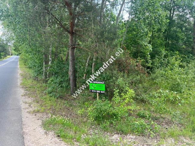 Działka sprzedam, OJRZANÓW,, 1500 m2, cena: 255 000 zł