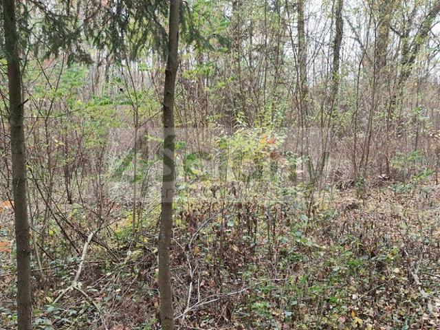 Działka sprzedam, OJRZANÓW,, 1500 m2, cena: 330 000 zł