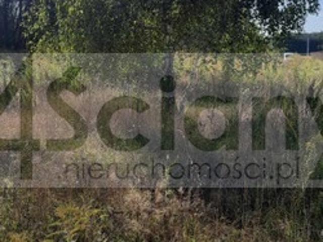 Działka sprzedam, OJRZANÓW,, 1160 m2, cena: 342 000 zł