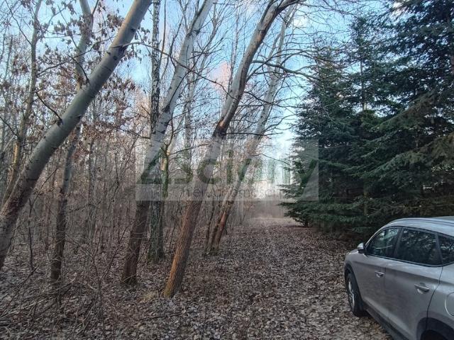 Działka sprzedam, OJRZANÓW,, 1200 m2, cena: 264 000 zł