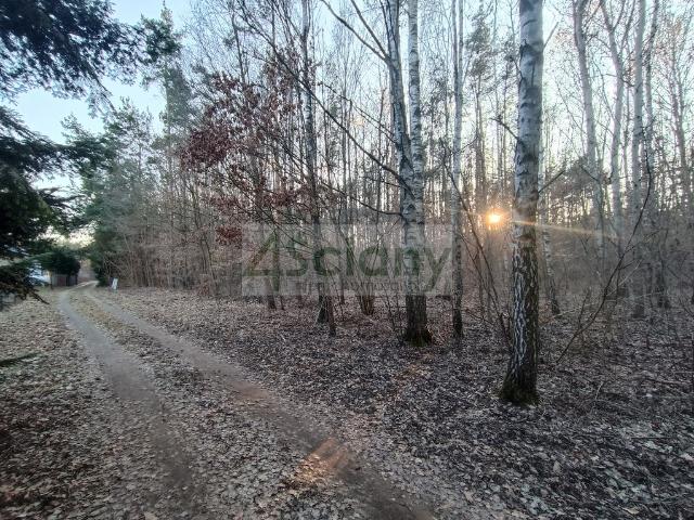 Działka sprzedam, OJRZANÓW,, 1280 m2, cena: 281 600 zł