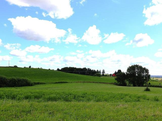 Działka sprzedam, Olszanka, 3003 m2, cena: 90 090 zł